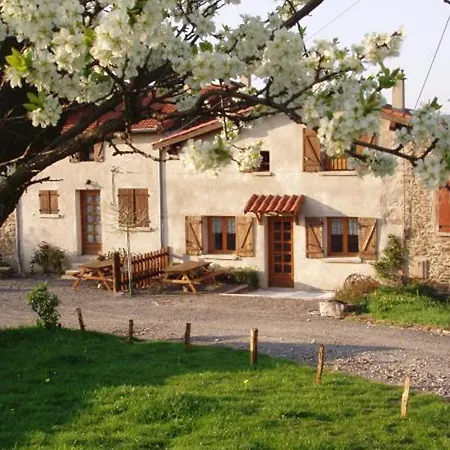 Avec Wifi Et Terrasse, A 15 Min De Saint-etienne - Fr-1-496-41